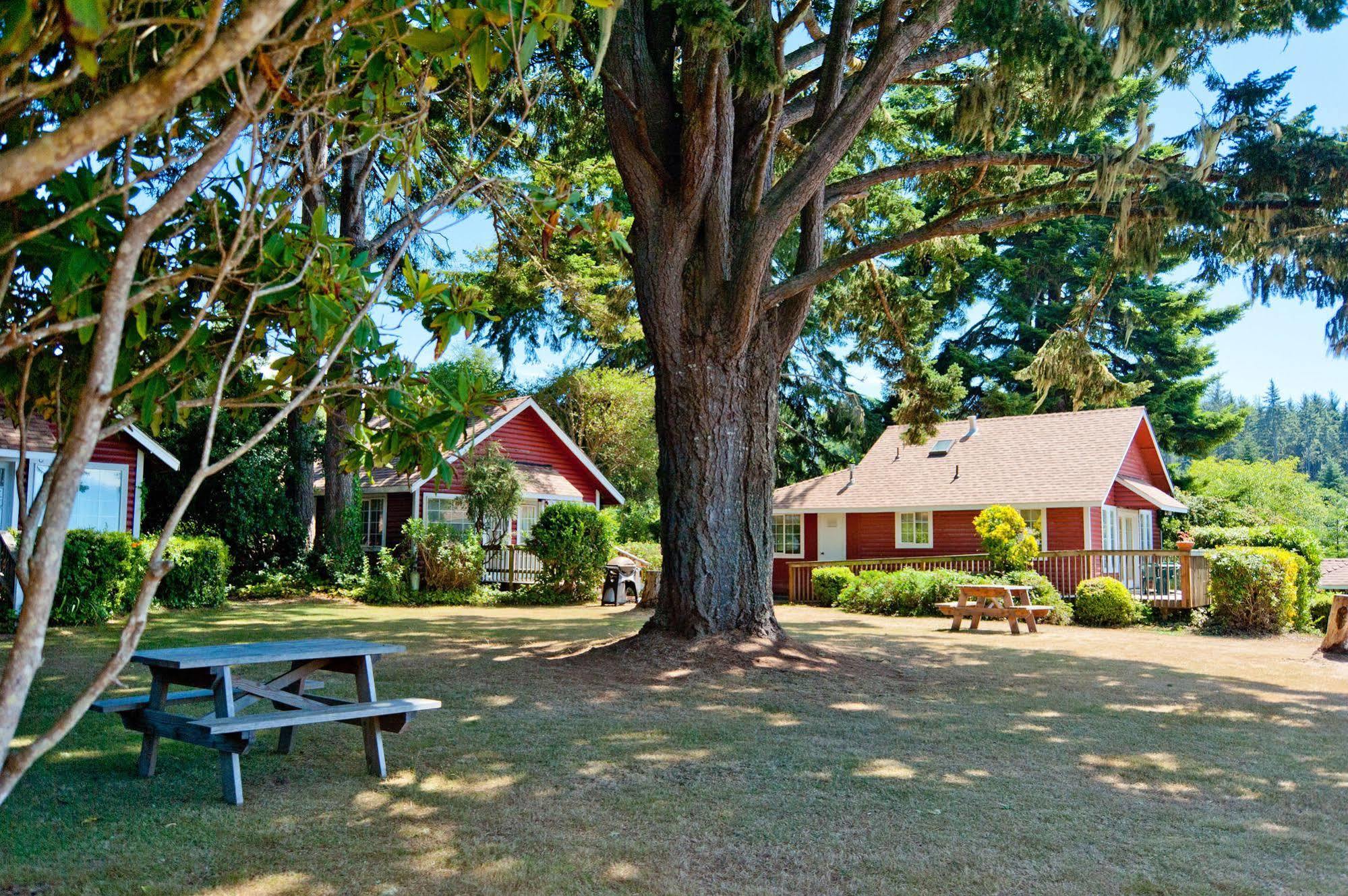 View Crest Lodge Trinidad Exterior foto